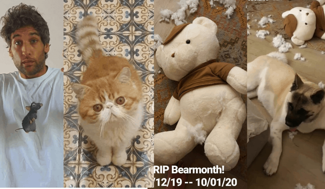 Lol Nico Bolzico Investigates Crime Scene At Home Latest Chika