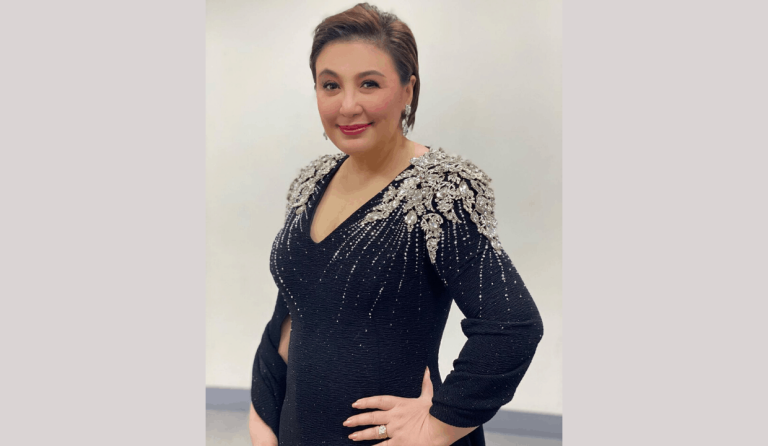 Sharon Cuneta says she can’t stand the lack of respect in social media