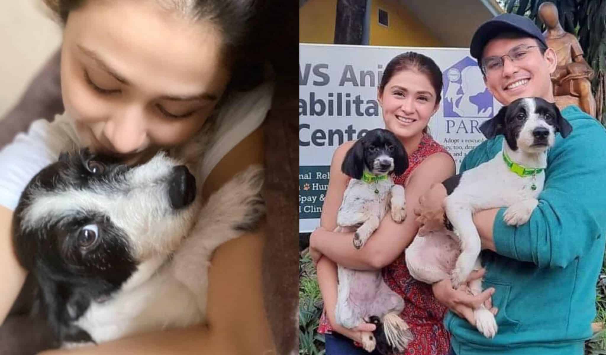 Love at first sight': How Carla Abellana became fur mom to rescued dog...