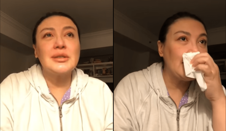 Sharon Cuneta to netizens comparing KC and Frankie’s looks: ‘How dare you!’