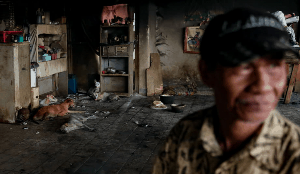 Furparent loses 23 pet dogs to Manila fire