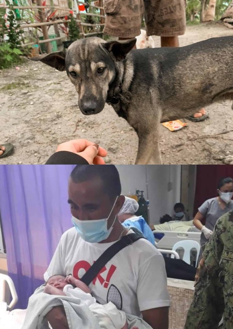 LOOK: Hero dog in Cebu found to have a ‘family’