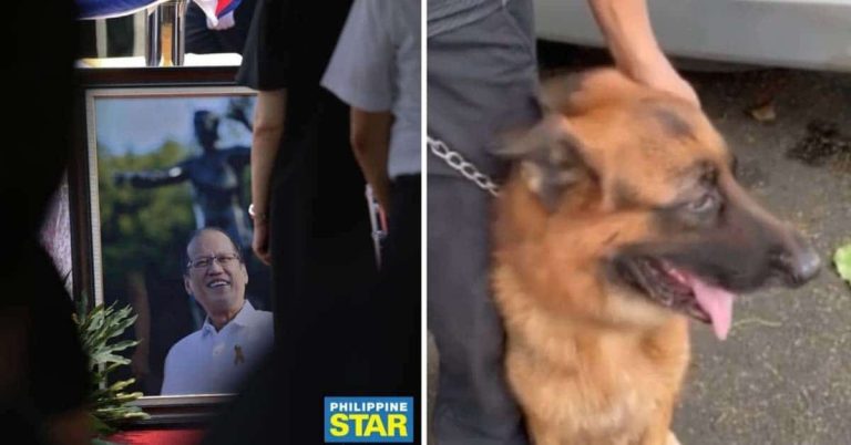 WATCH: Noynoy Aquino’s dog Apollo present at late ex-president’s funeral