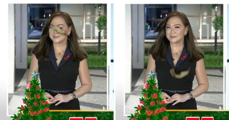 Karen Davila has this say about her viral leaf moment on TV Patrol