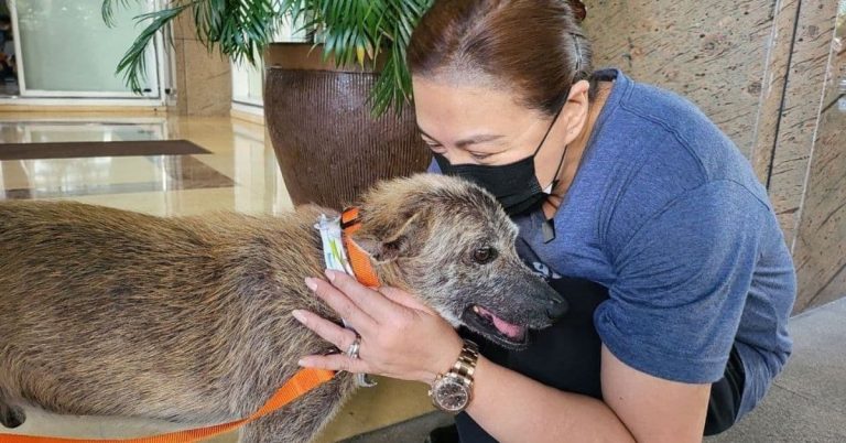 Sharon Cuneta finally brings home stray dog from Olongapo