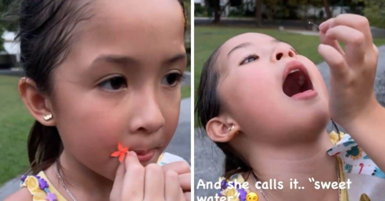 Judy Ann Santos shares adorable clip of daughter Luna enjoying santan flower nectar