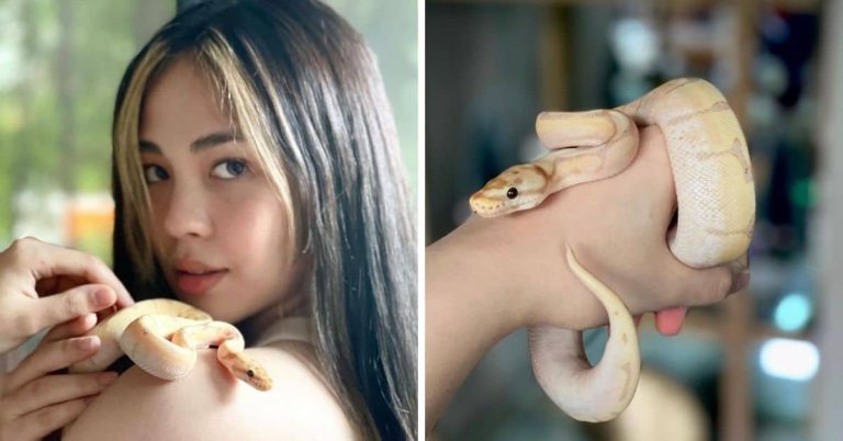 Janella Salvador shows off new pet snake Valentino