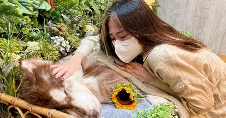 ‘I lost a partner in life’: Janella Salvador mourns death of pet dog