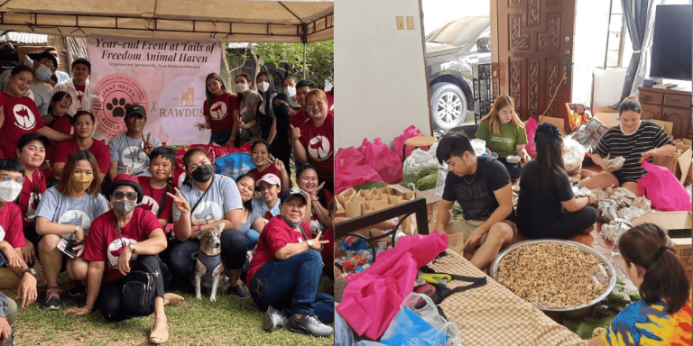 150 volunteers in Luzon: 22-year-old woman gains support for stray feeding program