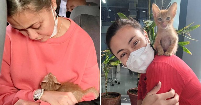 Jodi Sta. Maria gives stray kitten from NAIA a home