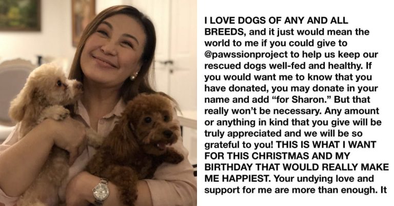 Sharon Cuneta asks loved ones, fans to donate, support local animal shelter for birthday