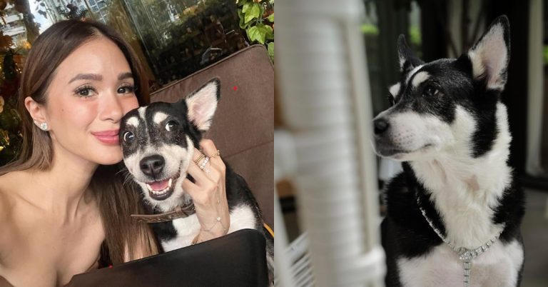 Heart Evangelista reacts to criticisms over her dog wearing P10M worth necklace