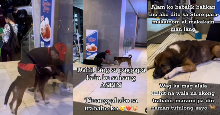 Local eatery criticized over alleged firing of food server for feeding stray animals