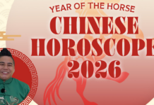 Money, love life, career: Which animal sign is the luckiest this 2026 Year of the Horse?