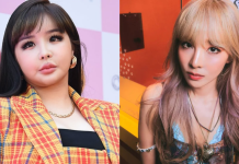 2NE1’s Park Bom claims she was framed as ‘drug addict’ to protect Sandara Park