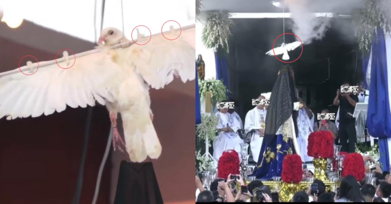 Malabon parish issues public apology following backlash over live dove used as prop in Easter ceremony